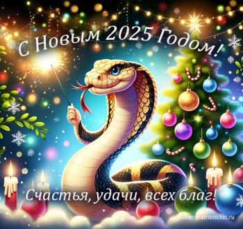 Наступил Новый 2025 год!!!