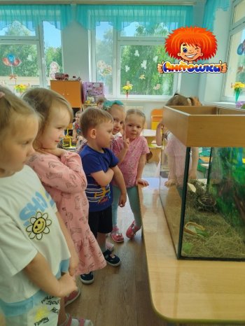  Сегодня в нашем саду — День Черепахи!  